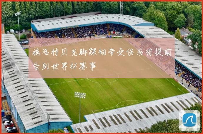 施洛特贝克脚踝韧带受伤或将提前告别世界杯赛事