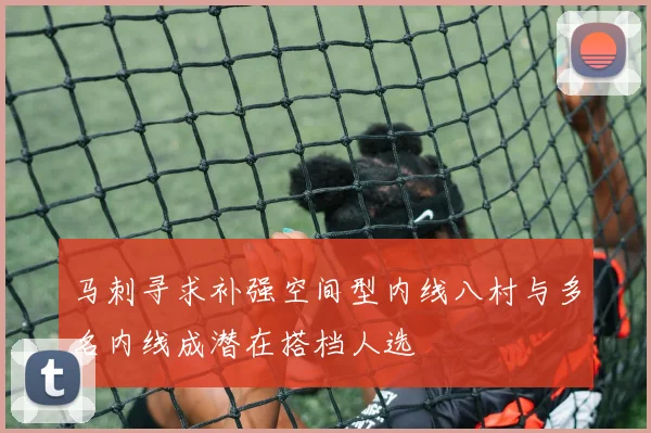 马刺寻求补强空间型内线八村与多名内线成潜在搭档人选